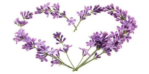 Lavender Love Heart: Delicate sprigs of lavender artfully arranged in a heart shape, a symbol of love, romance, and natural beauty, expressing feelings and emotions.