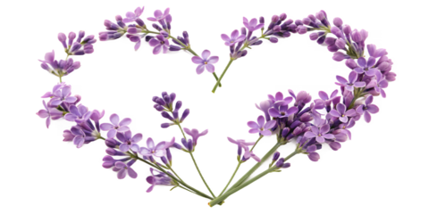 Lavender Love Heart: Delicate sprigs of lavender artfully arranged in a heart shape, a symbol of love, romance, and natural beauty, expressing feelings and emotions.