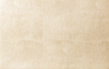 snake skin texture