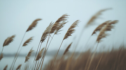 A beautiful natural landscape.