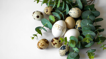 Flat lay Easter eggs, green leaves, decorative arrangement, pure white background
