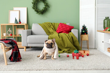 Cute dog with scarf in living room on Christmas eve