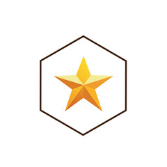 Fototapeta premium golden star polygon shapes