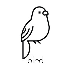 Cute Minimal Line Art bird parrot Icon. Vector Illustration.
