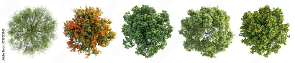 Canvas Prints vibrant top-view tree collection