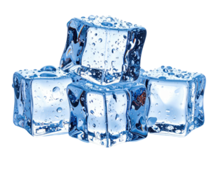 Close-up shot of four clear ice cubes, water droplets visible