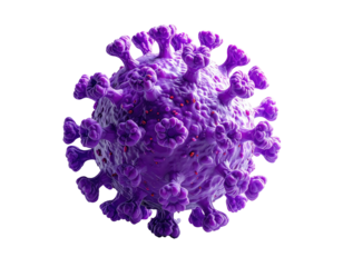 3D rendered illustration of a purple, spiky virus particle