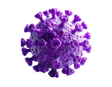 3D rendered illustration of a purple, spiky virus particle