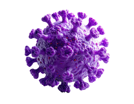 3D rendered illustration of a purple, spiky virus particle