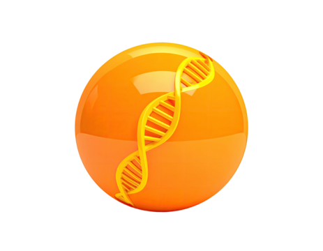 An orange sphere with a yellow double helix spiraling across its surface