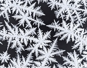 Close-up of intricate snowflake crystals