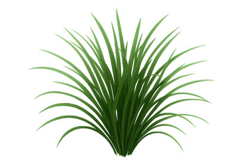 Fototapeta premium Green grass plant simulating growing nature element on transparent background for landscape design