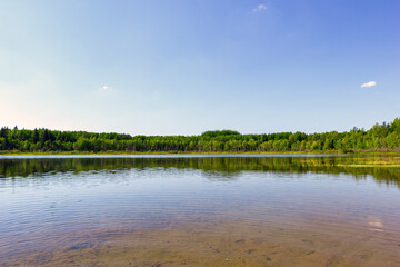 Tranquil landscape in the forest in the woods, hot summer day.