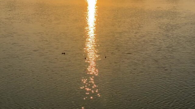 Golden sunset reflection on rippling water surface Keywords: sunset, sun, golden, light, reflection, water