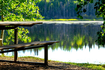 Picnic wooden table at the lake in the forest in summer.