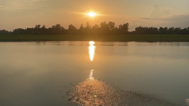Sunset over a calm lake with reflections and distant trees Keywords: sunset, sun, golden, light