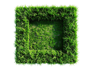 Top-down view of a square grass frame encompassing a rectangular space