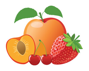 Bountiful pile of peaches or apricots and strawberries with a cherry, a sweet and fresh summer fruit arrangement - Vector Illustration	