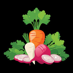 Assortment of fresh root vegetables including carrots, radishes, and beets, ready for a healthy meal - Vector Illustration