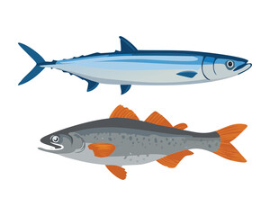 Two elegant whole fish, a long silver-blue one on top of a red-finned brown one, representing a premium catch from the deep sea - Vector Illustration.	