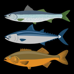 Three whole blue and brown fish stacked vertically with shadows, showing different species like mackerel and tuna, ready for the market - Vector Illustration.	