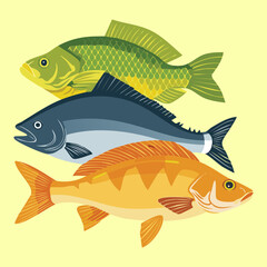 Three Freshly Caught Fish: Blue Carp, Yellow Perch, and Gray Snapper, Ready for Cooking or Filleting - Vector Illustration	