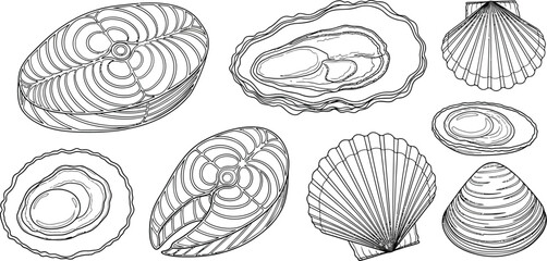 Vector art of hand drawn seafood sketch