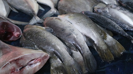 Some types of fresh fish in the traditional Indonesian market traders' stalls