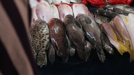 Some types of fresh fish in the traditional Indonesian market traders' stalls