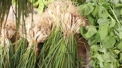 vegetable chives in stalls of Indonesian traditional market sellers