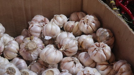 One Cardboard white Garlic in the Indonesian Traditional Market Traders Stalls
