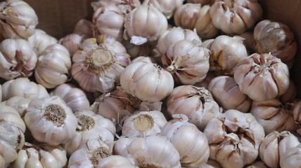 One Cardboard white Garlic in the Indonesian Traditional Market Traders Stalls
