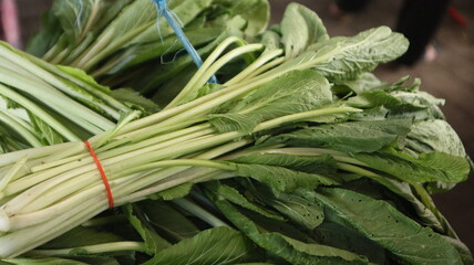 fresh mustard greens tied to the stalls of Indonesian traditional market sellers