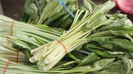 fresh mustard greens tied to the stalls of Indonesian traditional market sellers