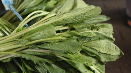 fresh mustard greens tied to the stalls of Indonesian traditional market sellers