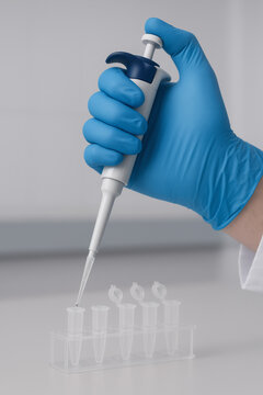 Scientist using micropipette in laboratory with test tubes