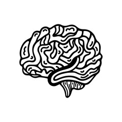Vector illustration human brain. Hand drawn neural organ. Symbol of logic, intelligence, imagination. Isolated black and white doodle. Clipart for psychology, anatomy, medical projects. Side view