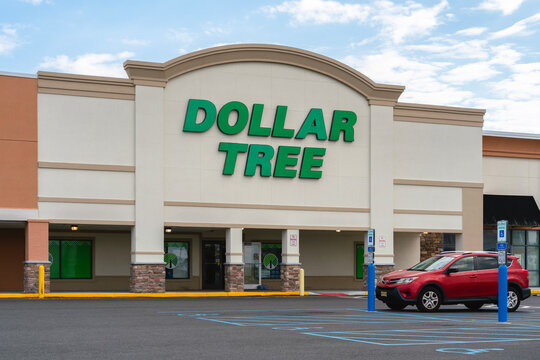 Ventnor City, NJ - Aug 28, 2025: Close-up of Dollar Tree Store, is a major Fortune 500 company, a leading operator of discount variety stores in North America. It operates over 16000 stores across USA