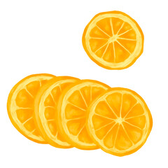 Juicy Slice of Orange Botanical Painting Illustration