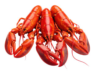 Three vibrant, cooked lobsters displayed against a stark black background