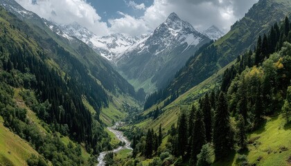 Fototapeta premium Mountain valley, snow-capped peak, lush green slopes