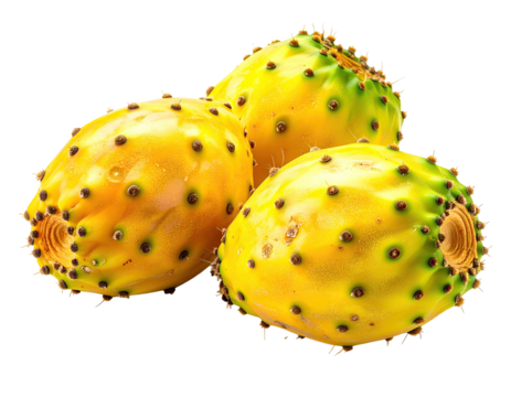 Three golden fruits with textured skin and small dark protrusions