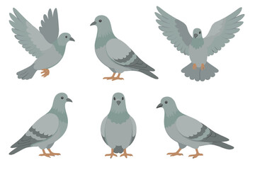 Obraz premium Vector illustration of pigeons in various poses, flying and standing, detailed bird set with transparent background, urban wildlife collection, city birds, peaceful doves