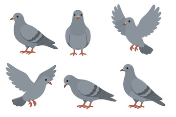 Vector illustration of pigeons set with transparent background, various poses of gray birds, urban wildlife, city birds flying and standing, animal collection
