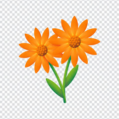 Calendula Flower Icon