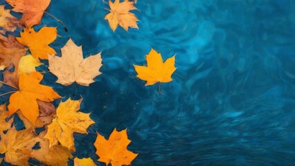 Autumn Leaves Floating on Tranquil Water with Varied Color Palette, Yellow Maple Leaf as Focal Point, TopDown View.