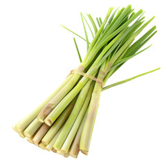 Fototapeta premium Freshly harvested lemongrass stalks tied with natural twine, ready for use isolated on white background
