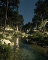 Starry Night Forest Stream Landscape