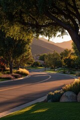 Golden Hour Residential Street Scene