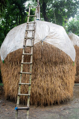 straw hut in the countryside